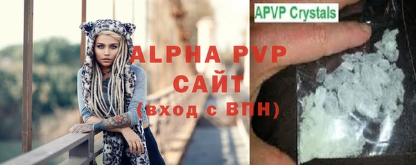 шишки Абаза