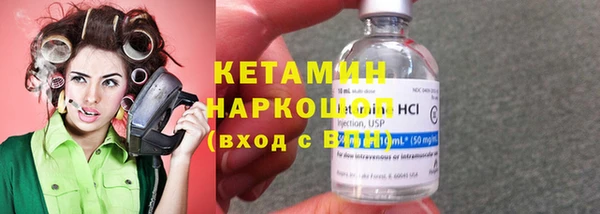 шишки Абаза