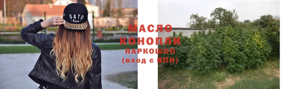 дмт Алексин