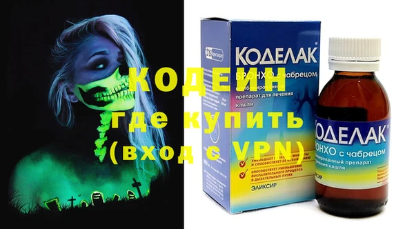 шишки Абаза