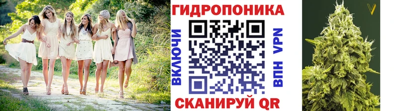 где можно купить   darknet клад  Шишки марихуана гибрид  Ермолино 
